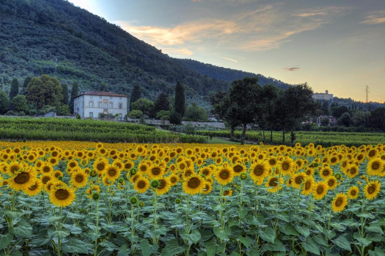 Buonvisi B&B Lukka Zewnętrze zdjęcie